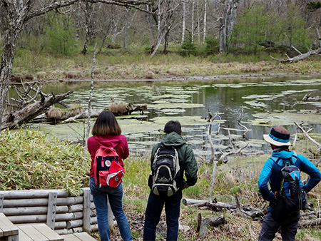 Nikko Senjogahara field observation 02