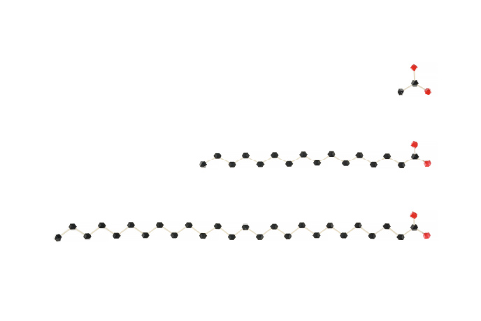 From the top, molecular models of acetic acid, long chain fatty acids, and very long chain fatty acids. The extremely long-chain fatty acids that Professor Yokoyama and Associate Professor are focusing on are characterized by a particularly long chain of carbon atoms (black beads).