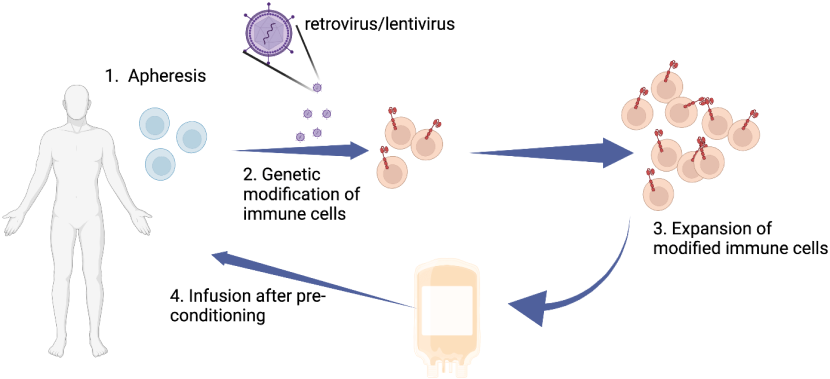 Images of CAR-T cell generation and administration