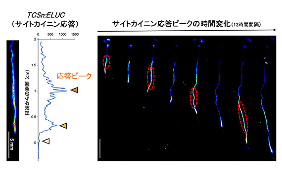 当日の様子03