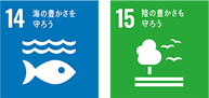 sdgs_2003.png