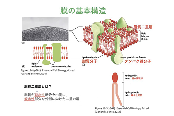 当日の様子03