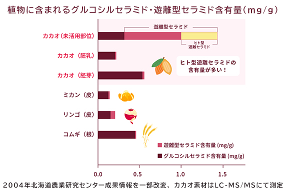 当日の様子06