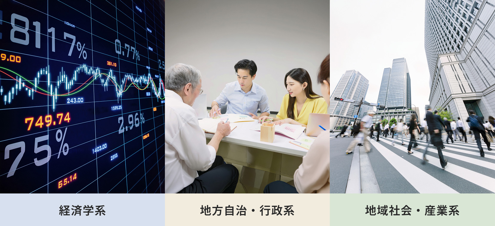 経済学系、地方自治・行政系、地域社会・産業系に関するイメージ画像