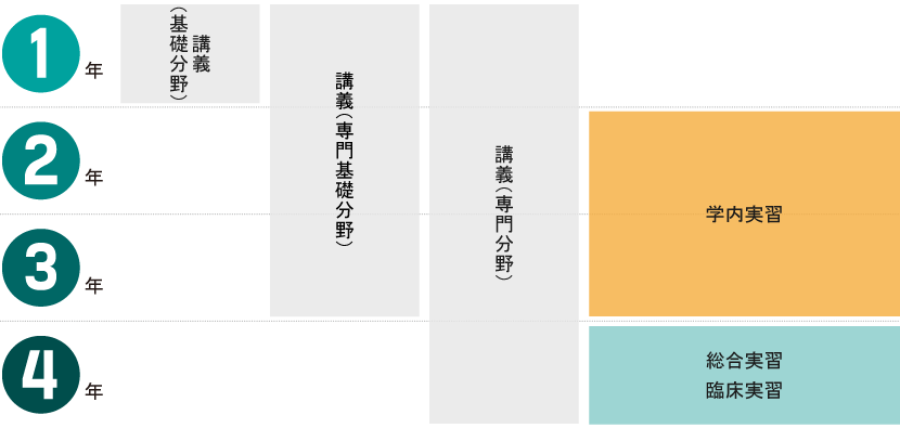 Training schedule