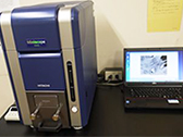 Desktop scanning electronic microscope