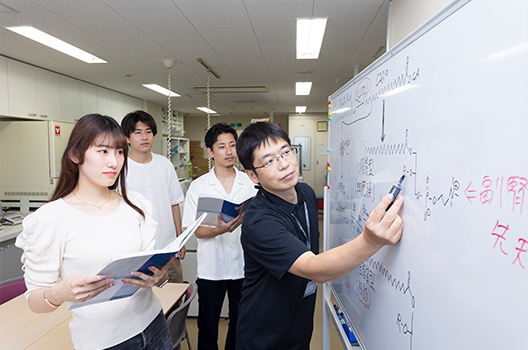 物理薬剤学研究室では、学生が実験データの意味を論理的に捉えて考えられるように指導する。