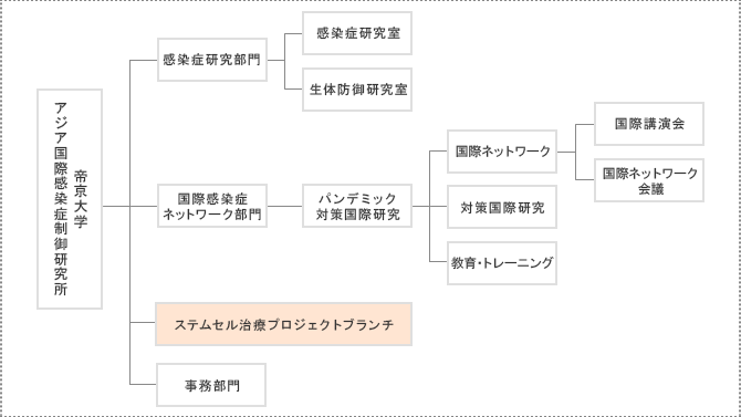 ステムセル治療プロジェクトブランチの組織体制