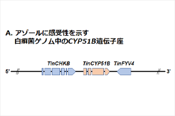 当日の様子01