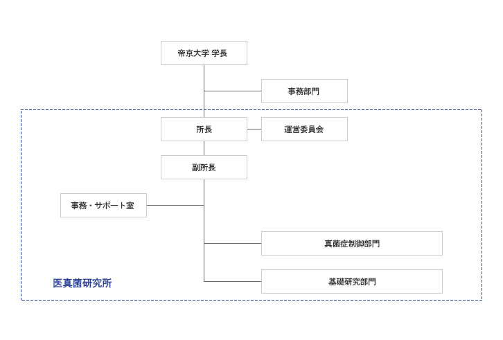 組織・体制図