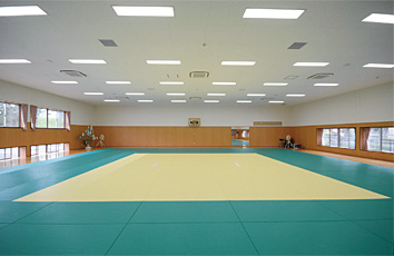 Teikyo Toyosatodai Judokan building