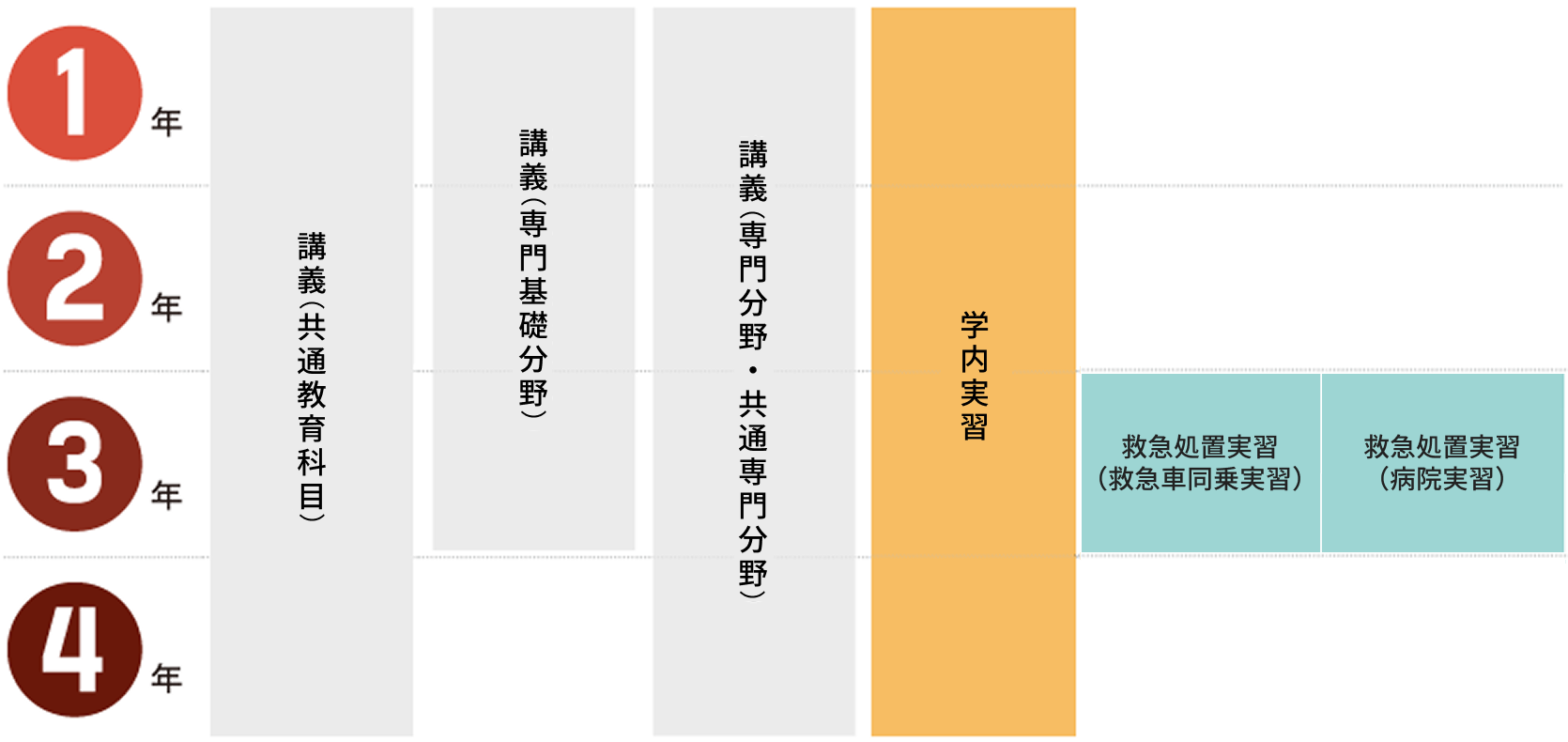実習スケジュール
