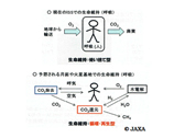 Examination of modeling of carbon dioxide reduction reaction by numerical analysis