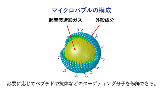 Composition of microbubbles