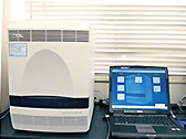 Real-time PCR