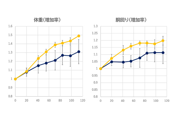 画像02
