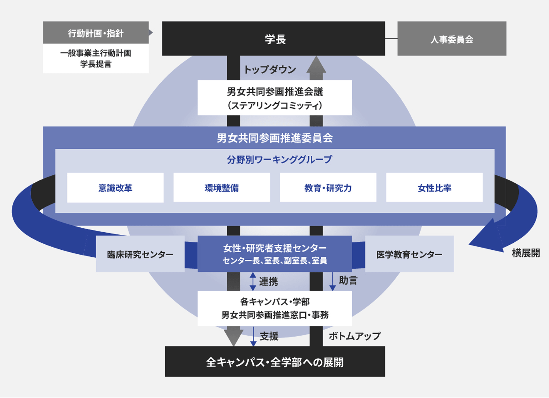 Organization / system diagram