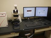 Fluorescence microscope