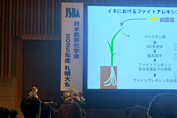 理工学部宮本准教授が農芸化学奨励賞を受賞しました