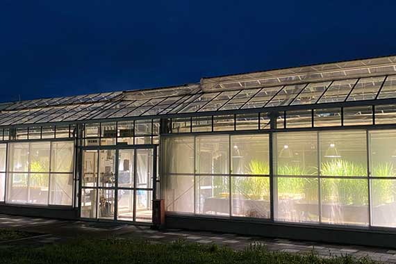 Biological cultivation and cultivation facilities