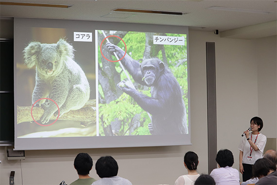 多摩動物公園からゲストスピーカーを招いて授業を実施しました