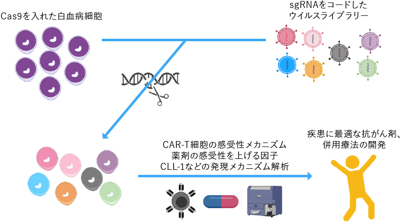 CRISPR screeningのイメージの画像