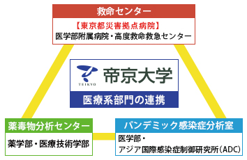 プロジェクト体制図