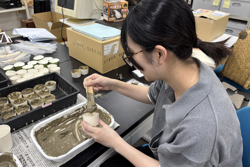 ミュージアムアシスタントとして学芸員の実務を経験