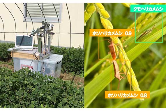 Laboratories developing robots