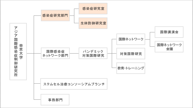 感染症研究部門の組織体制