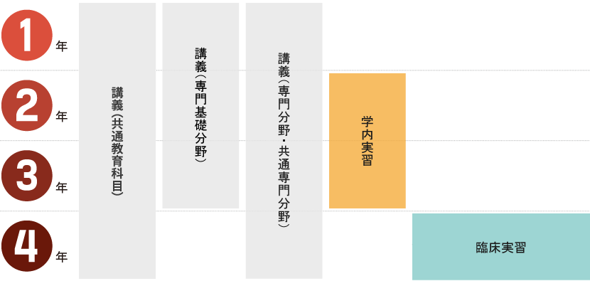 臨床実習スケジュール