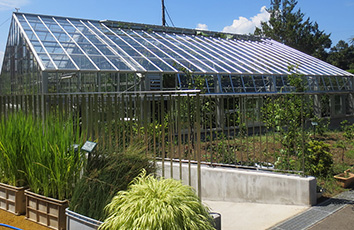 greenhouse