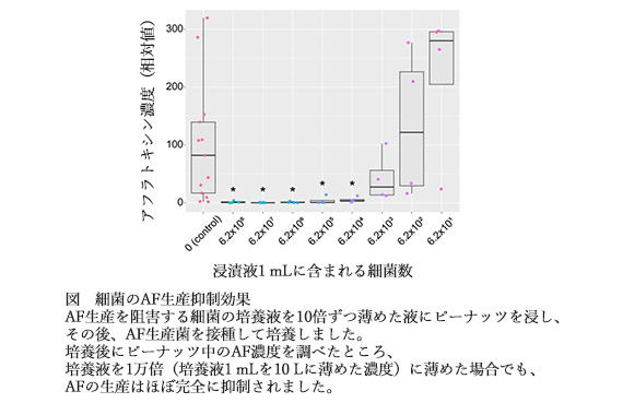 BioJapan2026への出展