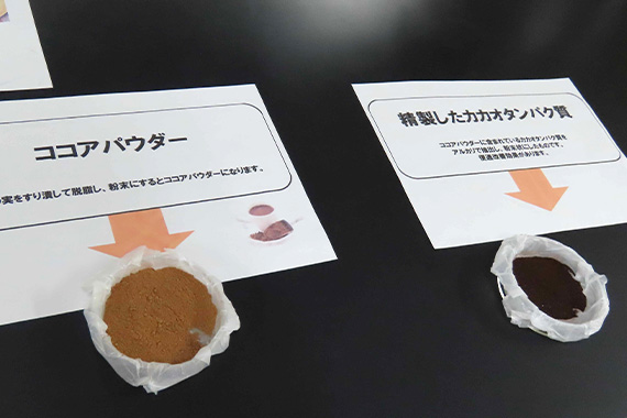 チョコレートの原材料であるカカオセラミドを取ろう01