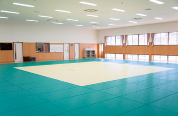 Teikyo Toyosatodai Judokan building
