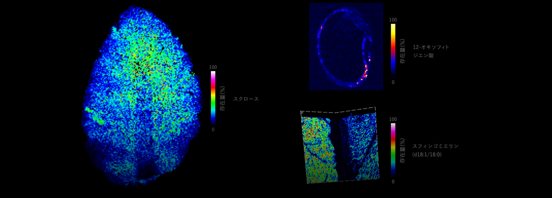 Contribute to improving food safety and quality with mass spectrometric imaging