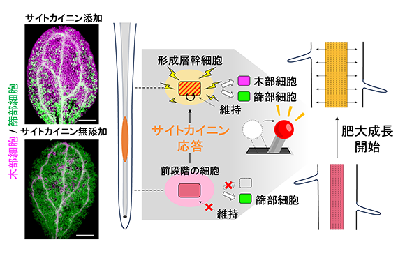当日の様子04