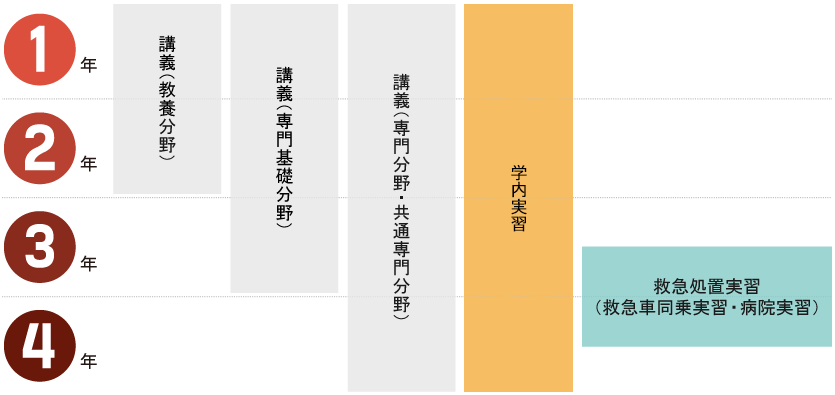 Training schedule