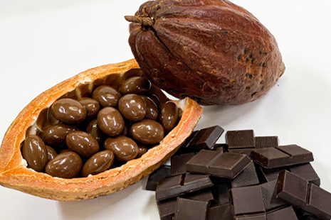 「高カカオチョコレート摂取による腸内環境改善効果」を企業と共同研究