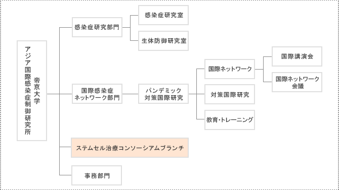 Organizational structure of stem cell treatment consortium branch