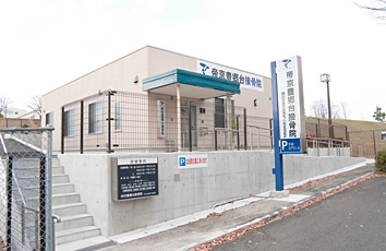 Teikyo Toyosatodai Judo Therapy Office