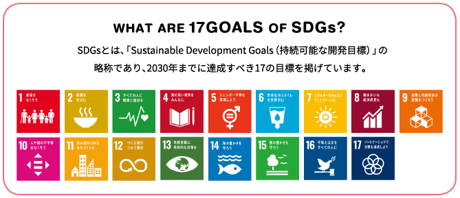 WHAT ARE 17GOALS OF SDGs?