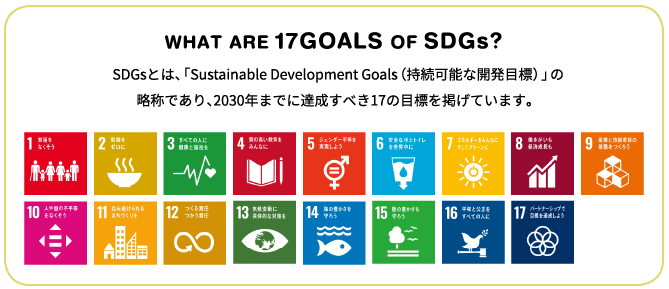 WHAT ARE 17GOALS OF SDGs?