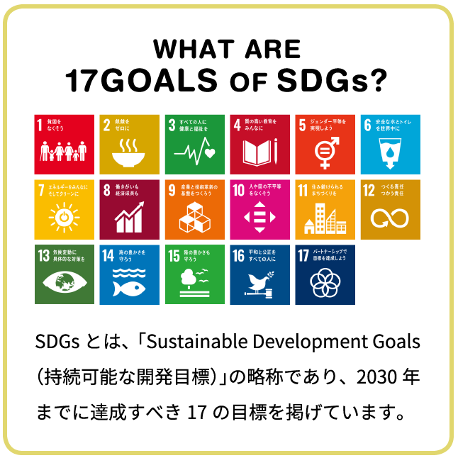 WHAT ARE 17GOALS OF SDGs?