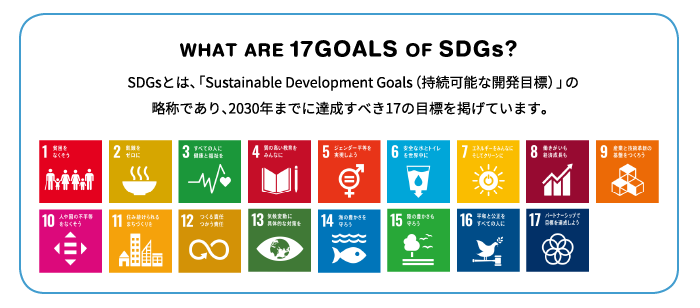 WHAT ARE 17GOALS OF SDGs?