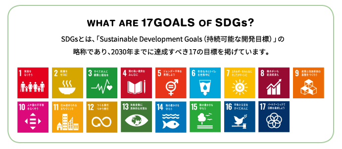 WHAT ARE 17GOALS OF SDGs?
