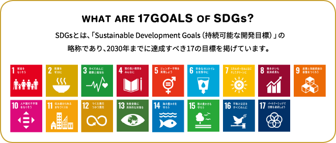 WHAT ARE 17GOALS OF SDGs?