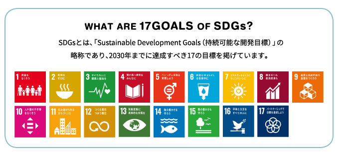 WHAT ARE 17GOALS OF SDGs?