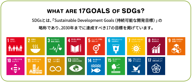 WHAT ARE 17GOALS OF SDGs?