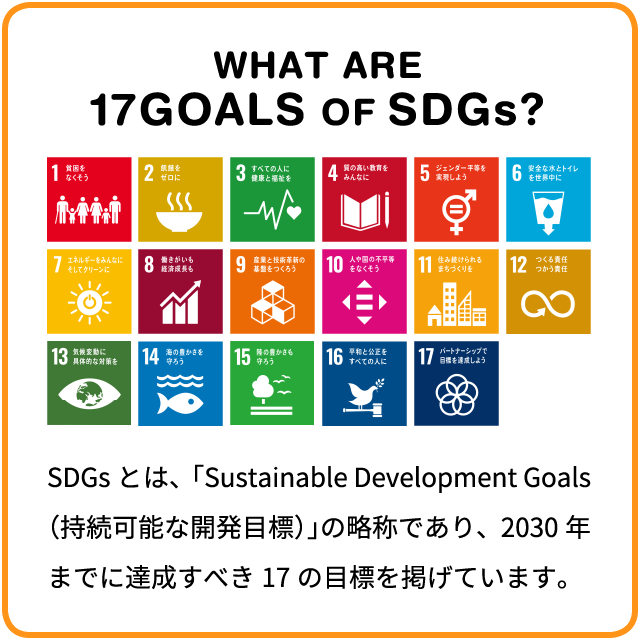 WHAT ARE 17GOALS OF SDGs?